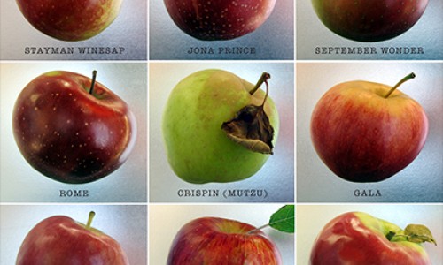 藕叶子有什么功效和作用-权威藕叶子有什么功效和作用平台,分享专业藕叶泡水喝的正确方法知识_藕叶吃法网