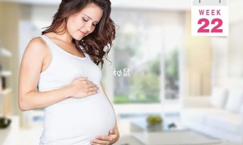 藕叶能吃吗-权威藕叶子有什么功效和作用平台,分享专业藕叶泡水喝的正确方法知识_藕叶吃法网